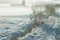 Die Insel Föhr im Winter